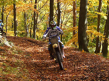 Motorkári